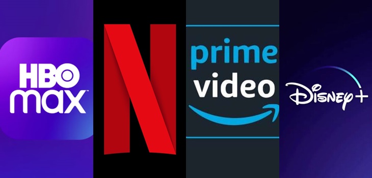 Combo Netflix, Disney+, Prime Video, Hbo Max - Perfiles